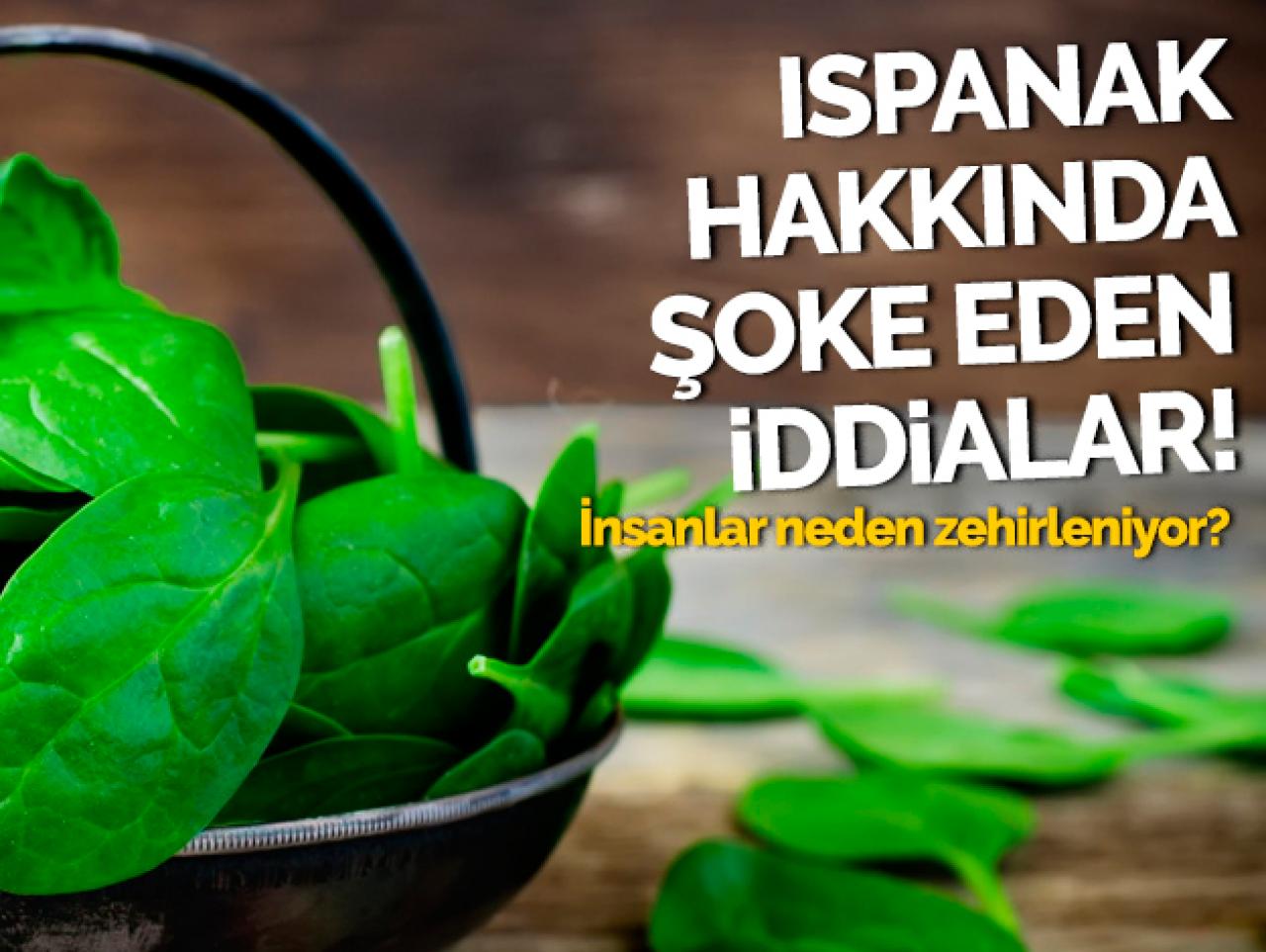 Ispanak hakkında şoke eden iddialar! İnsanlar neden zehirleniyor?