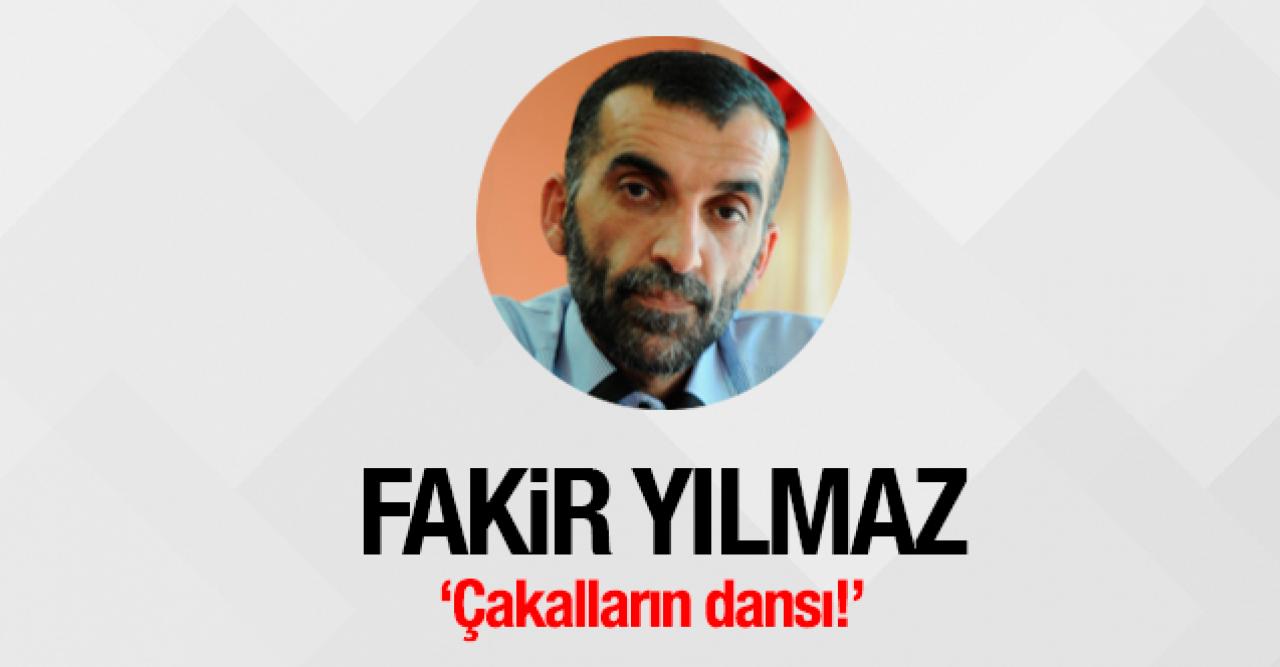 Çakalların dansı!