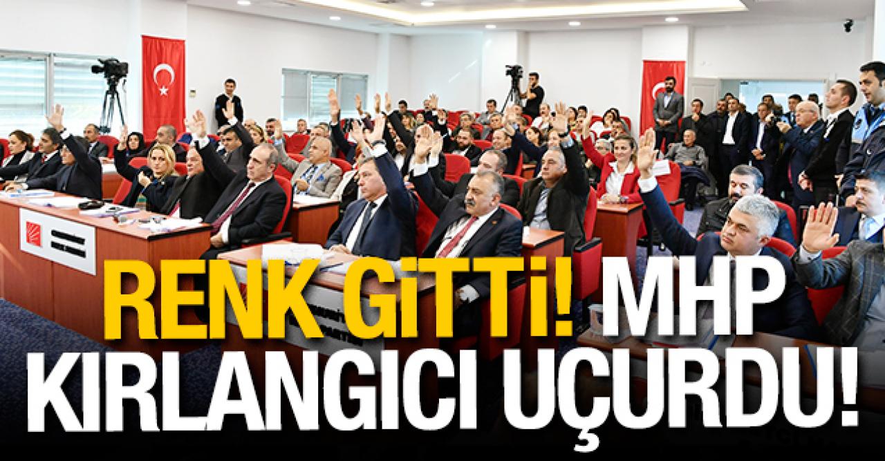 Beylikdüzü'nde kırlangıcın rengi değişti!