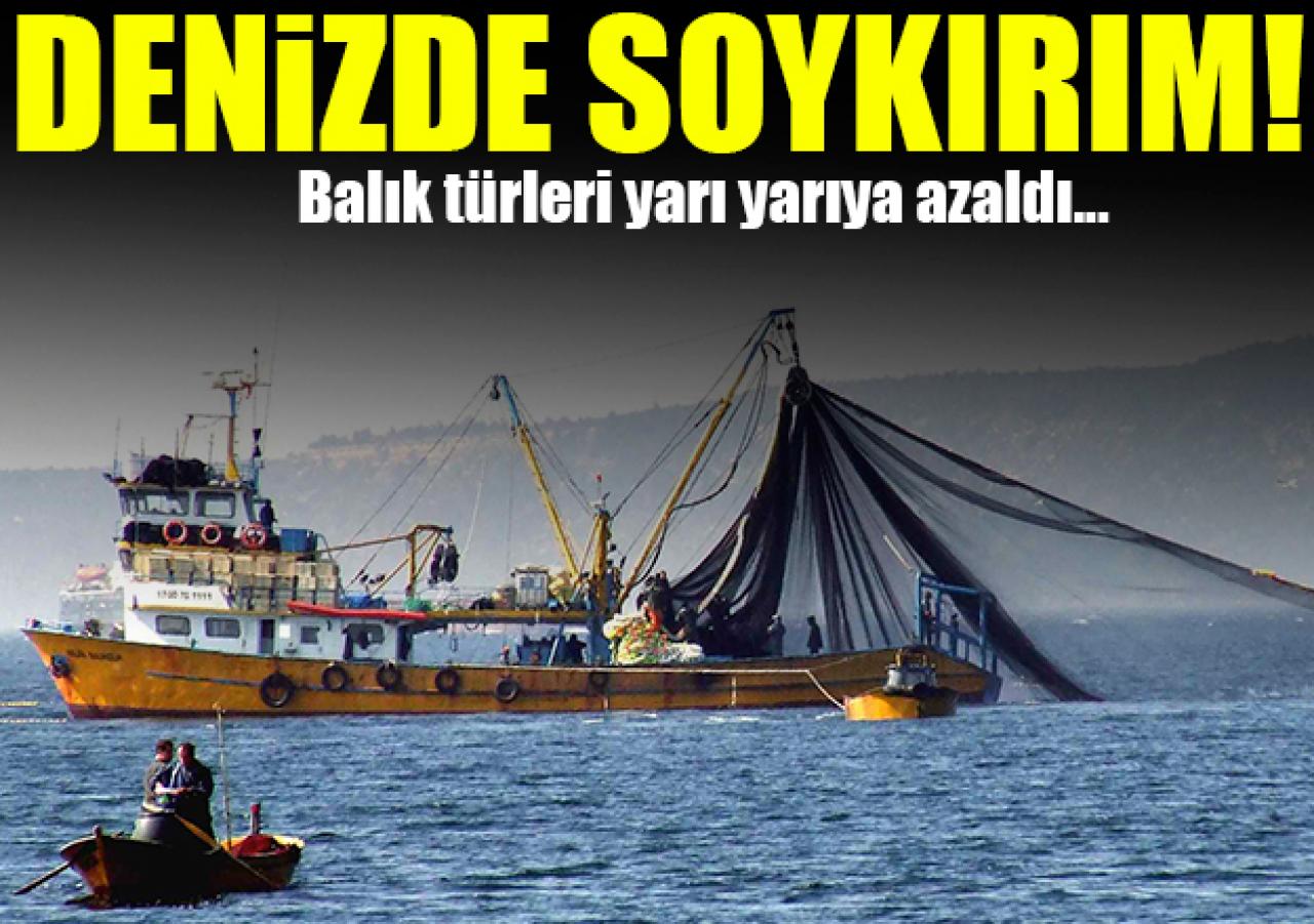 Denizde soykırım