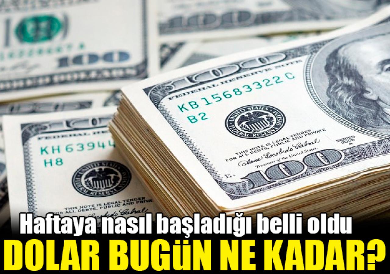 Dolar haftaya yükselişle başladı