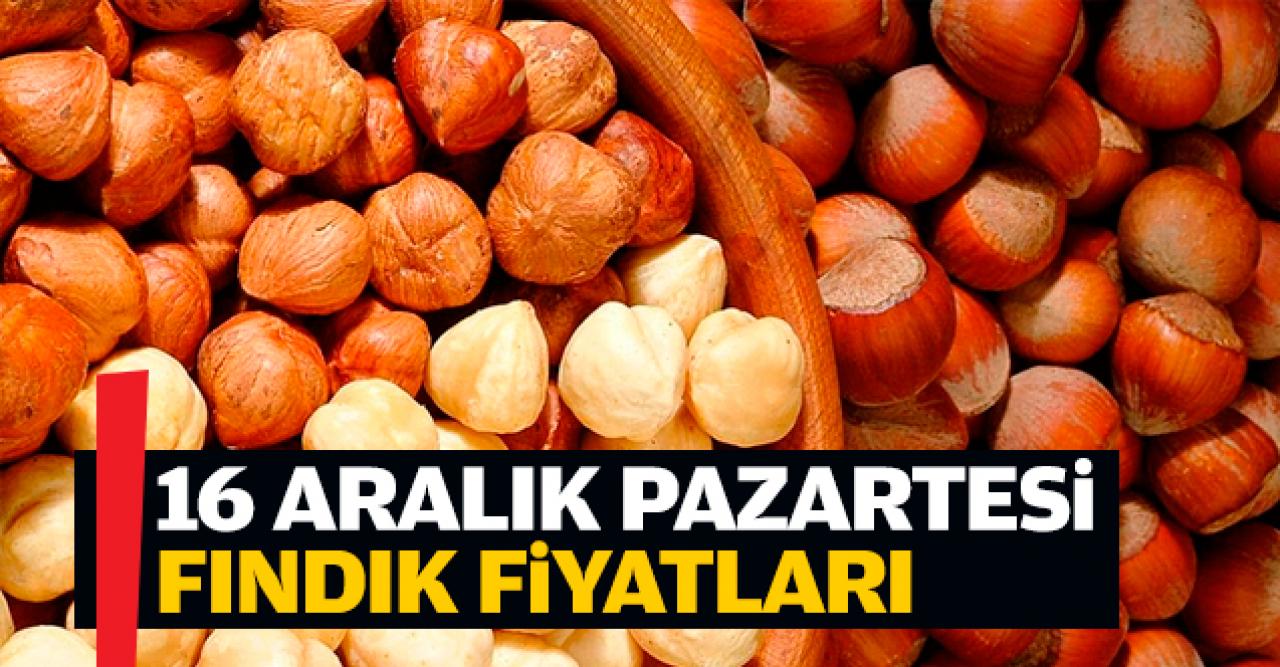 Fındık kaç lira? 16 Aralık Pazartesi fındık fiyatları