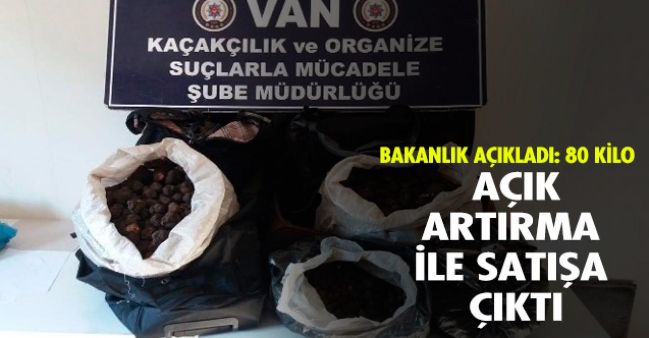 Açık artırmayla satışa çıktı