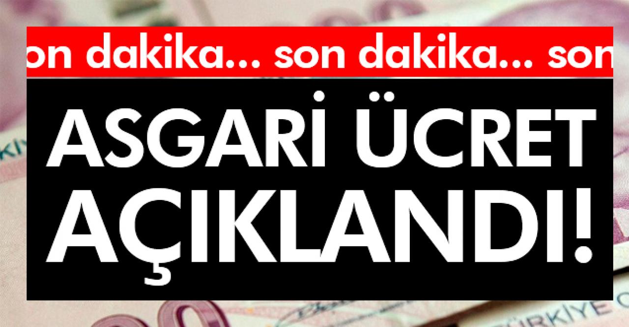 2020 asgari kaç lira oldu? İşte resmi açıklama