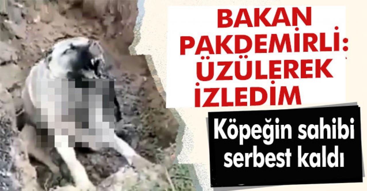 O köpeğin sahibi konuştu: ''İğne yaparken düştü''