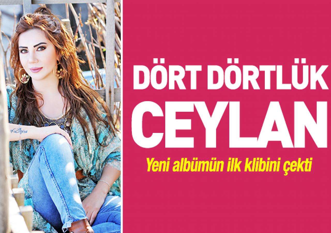 Dört dörtlük Ceylan