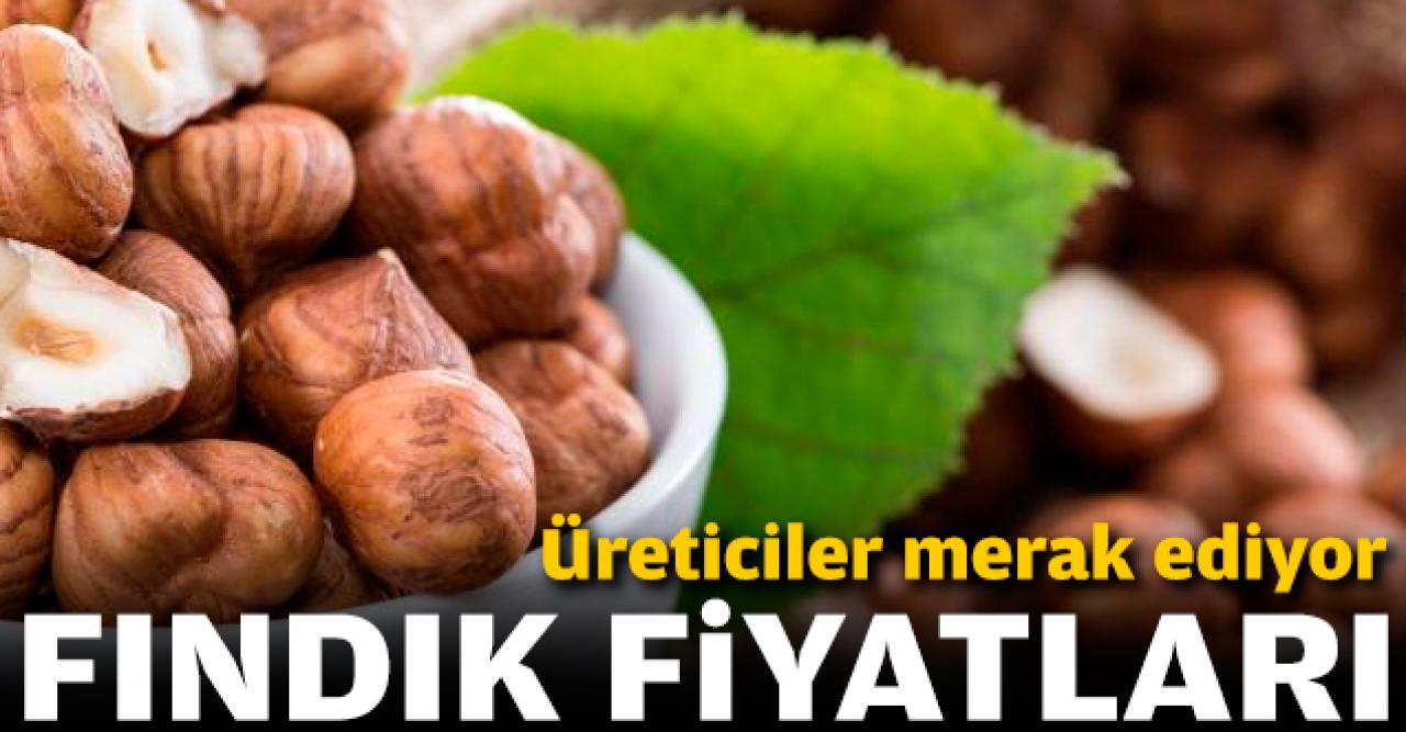 Fındık kaç lira? 8 Ocak Çarşamba fındık fiyatları