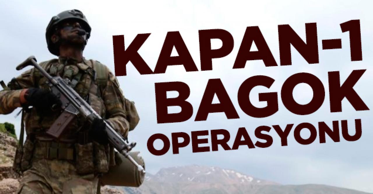 İçişleri Bakanlığı'ndan 'Kapan-1 Bagok' operasyonu