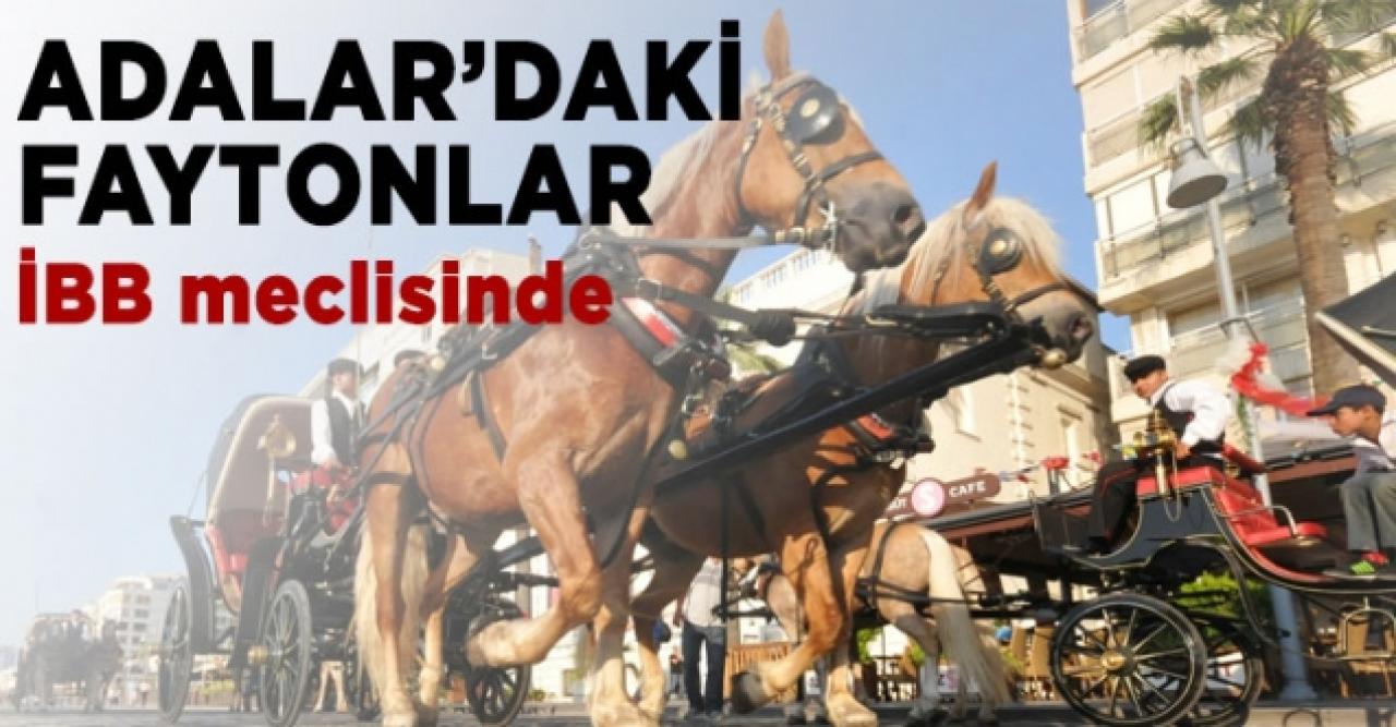 Adalar'daki faytonlar İBB meclisinde