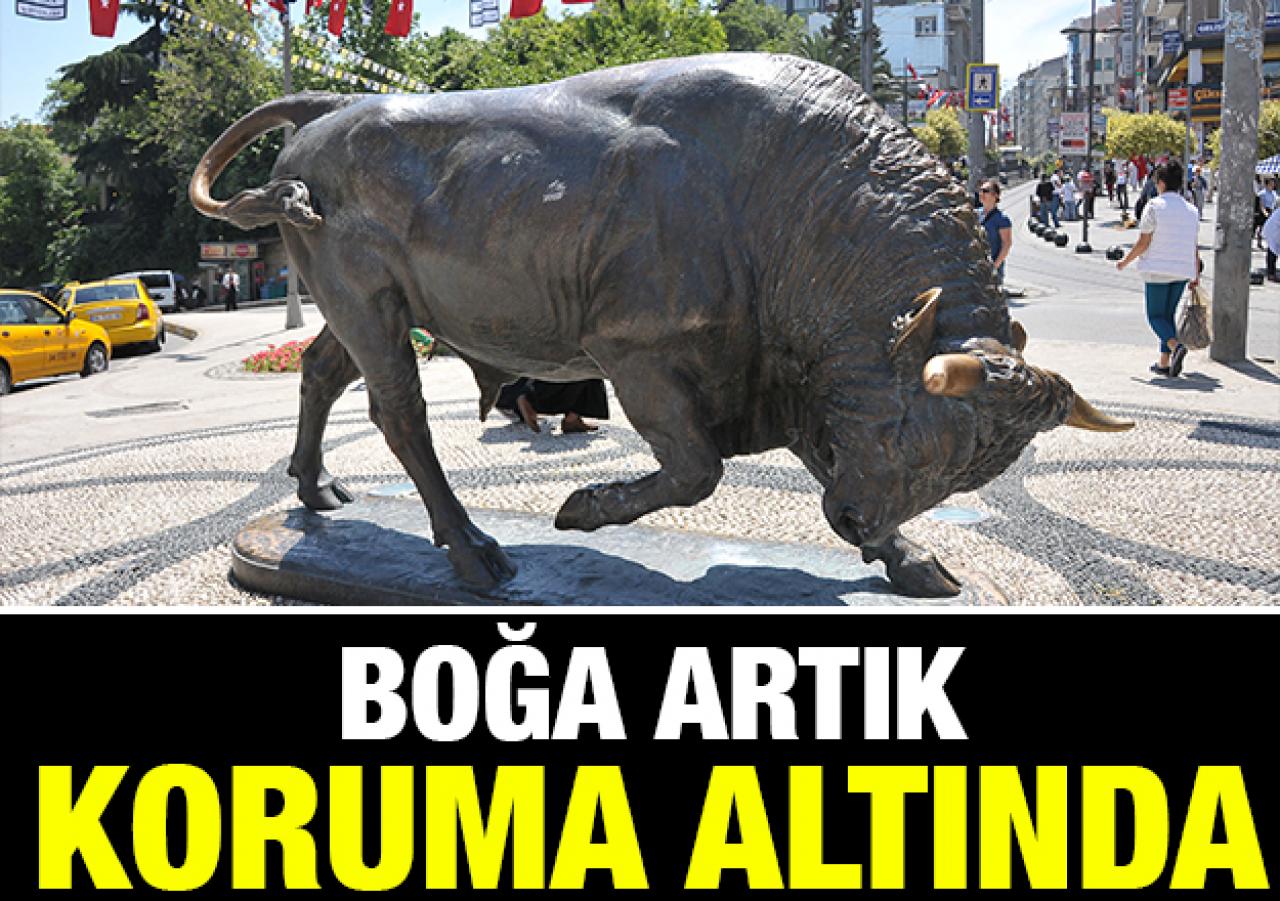 Boğa artık koruma altında