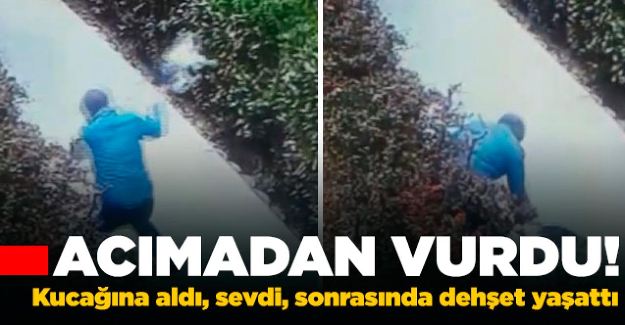 Küçükçekmece'de kediye acımasızca saldırı! Defalarca yere vurdu ve tekmeledi