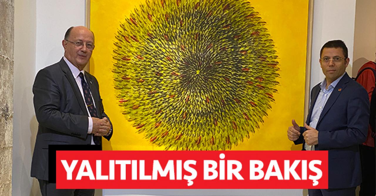 Yalıtılmış bir bakış