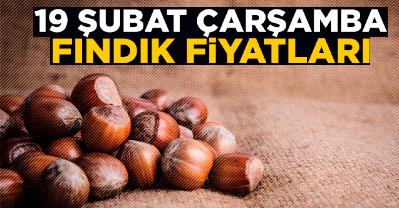 Fındık kaç lira? 19 Şubat Çarşamba fındık fiyatları | İl il fındık fiyatları