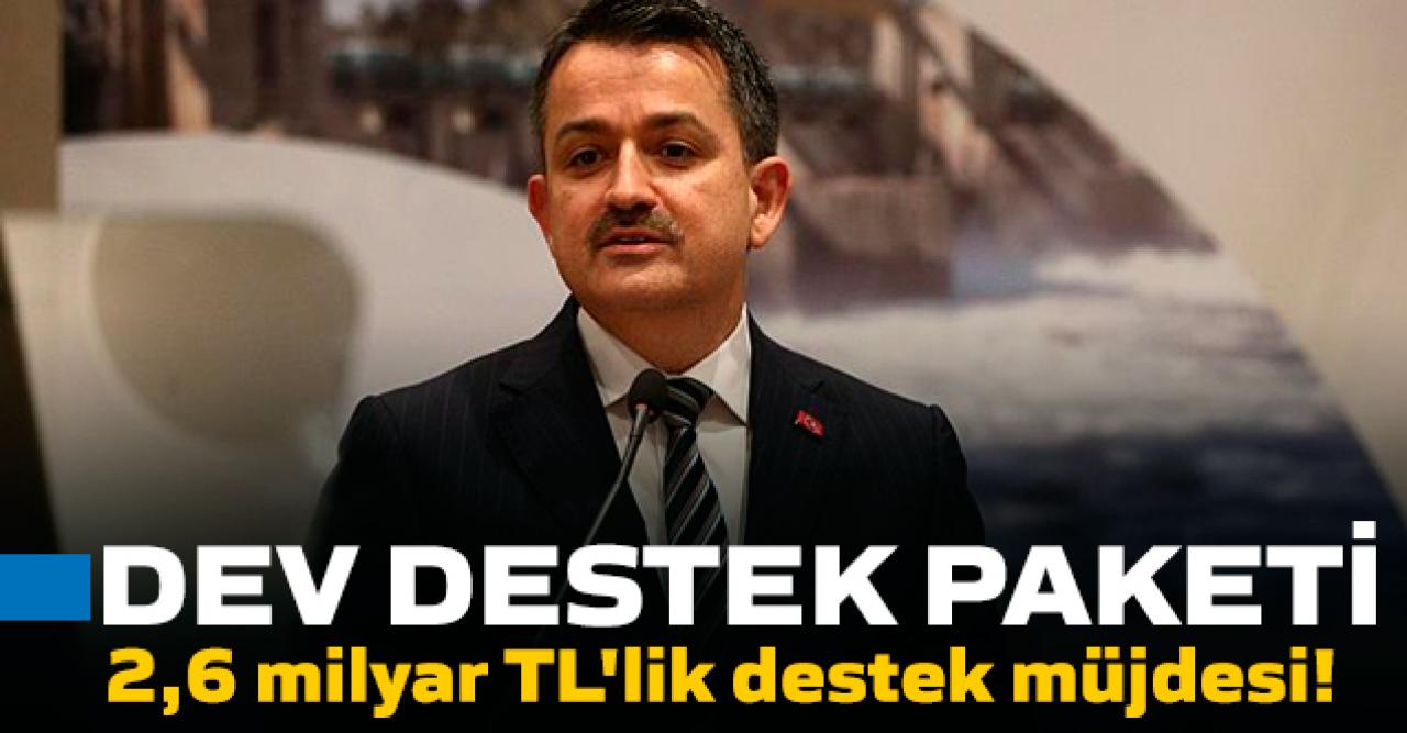 Bakan Pakdemirli'den sevindiren haber!