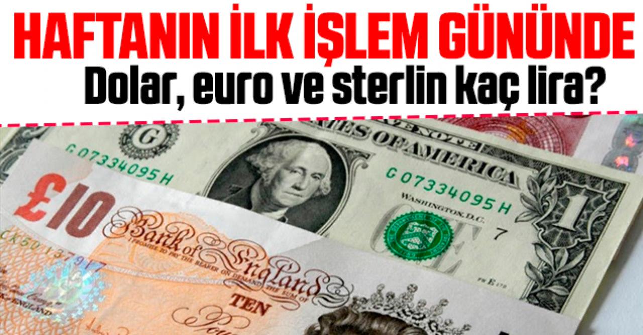 24 Şubat Pazartesi dolar ve euro kaç lira? Alış ve satış fiyatları