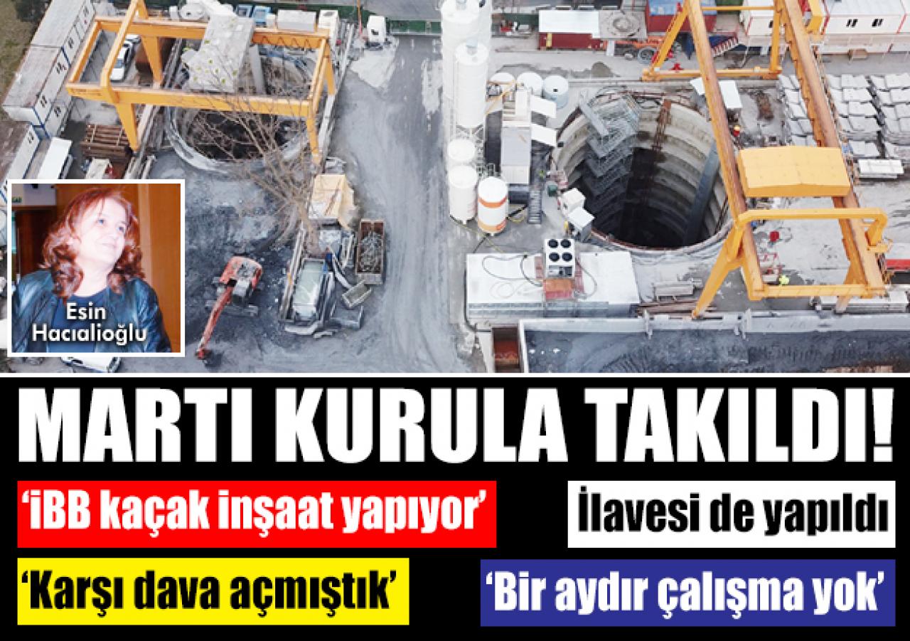 Martı kurula takıldı