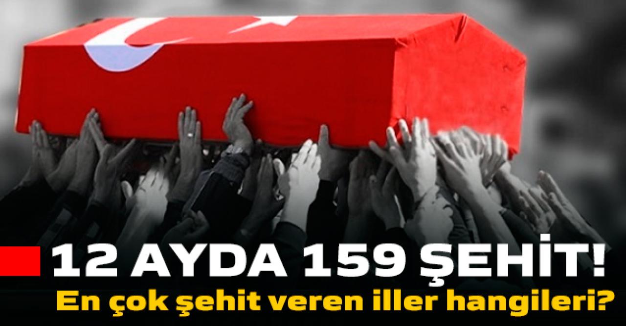 MSB yayınladı: 1 yılda 159 Şehit! En çok şehit veren iller hangileri?