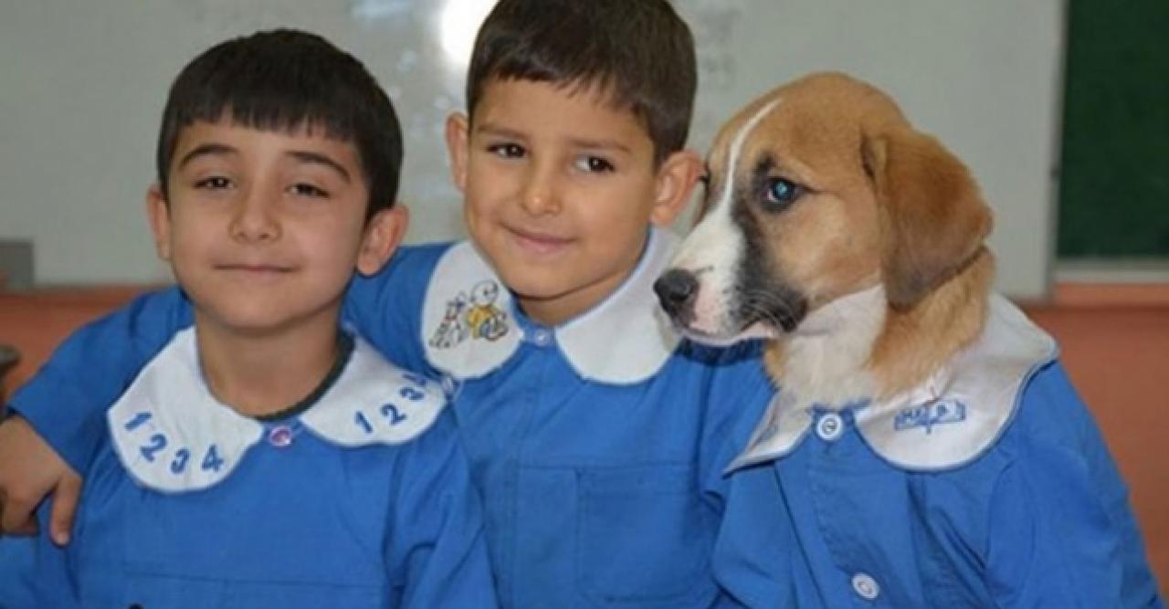 'Fındık' adlı yavru köpek öldü