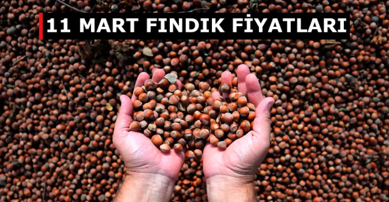 Fındık kaç lira? 11 Mart Çarşamba fındık fiyatları | Trabzon, Ordu, Sakarya ve Giresun fiyatları