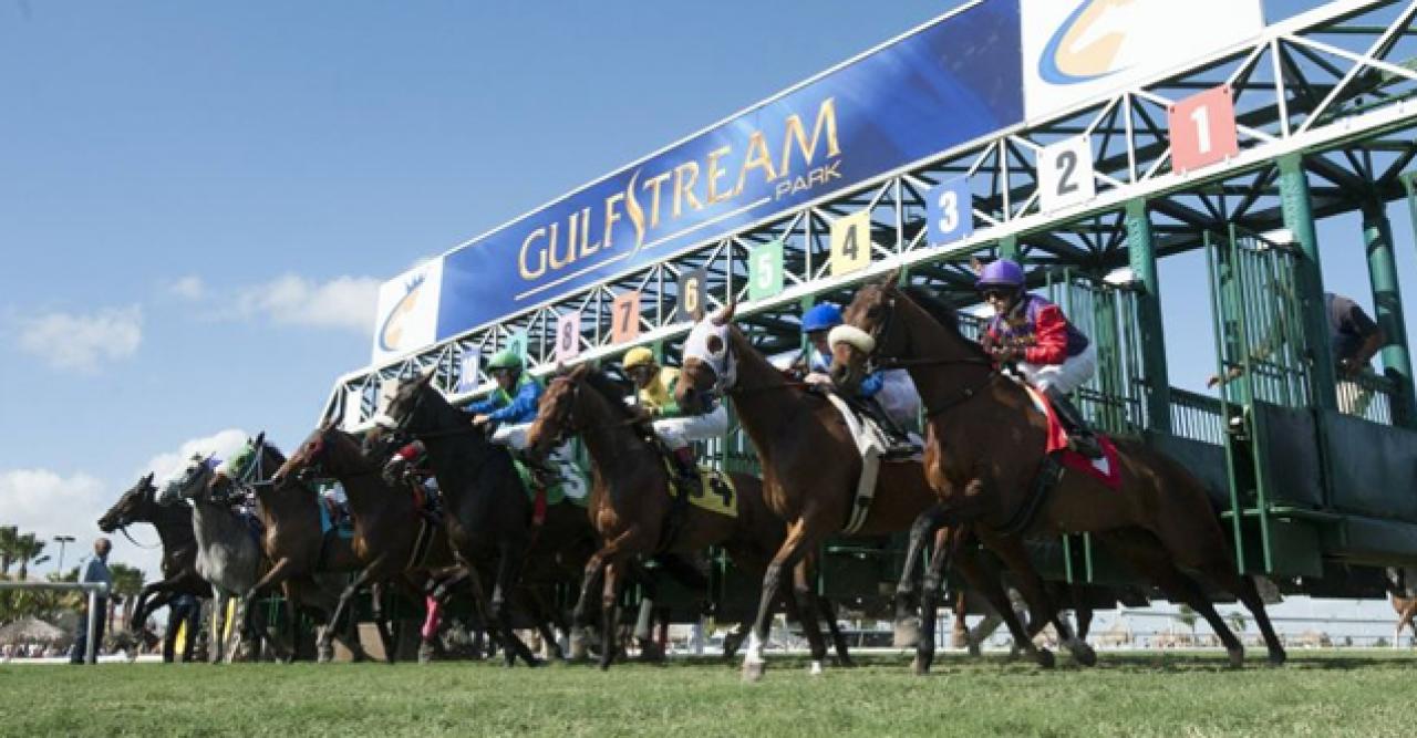 22 Mart 2020 Pazar Gulfstream Park At Yarışı Tahminleri ve Bülteni