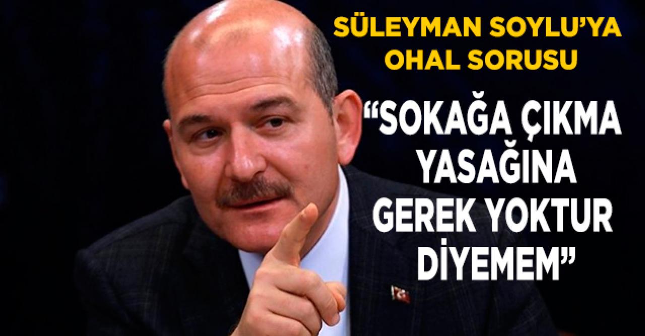 Soylu'dan OHAL cevabı: Gerek yoktur diyemem