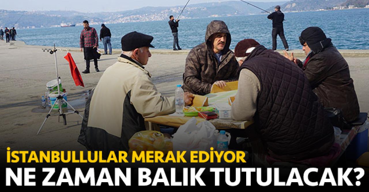 Balık tutmak ne zaman serbest olacak? İstanbul'da balık tutma yasağı ne zaman bitecek