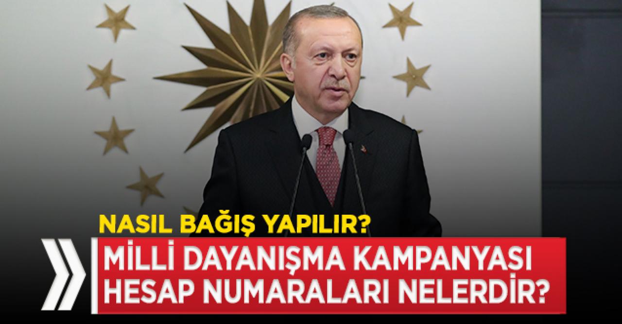 Milli Dayanışma Kampanyası banka hesap numaraları nedir? Nereye bağış yapılır?