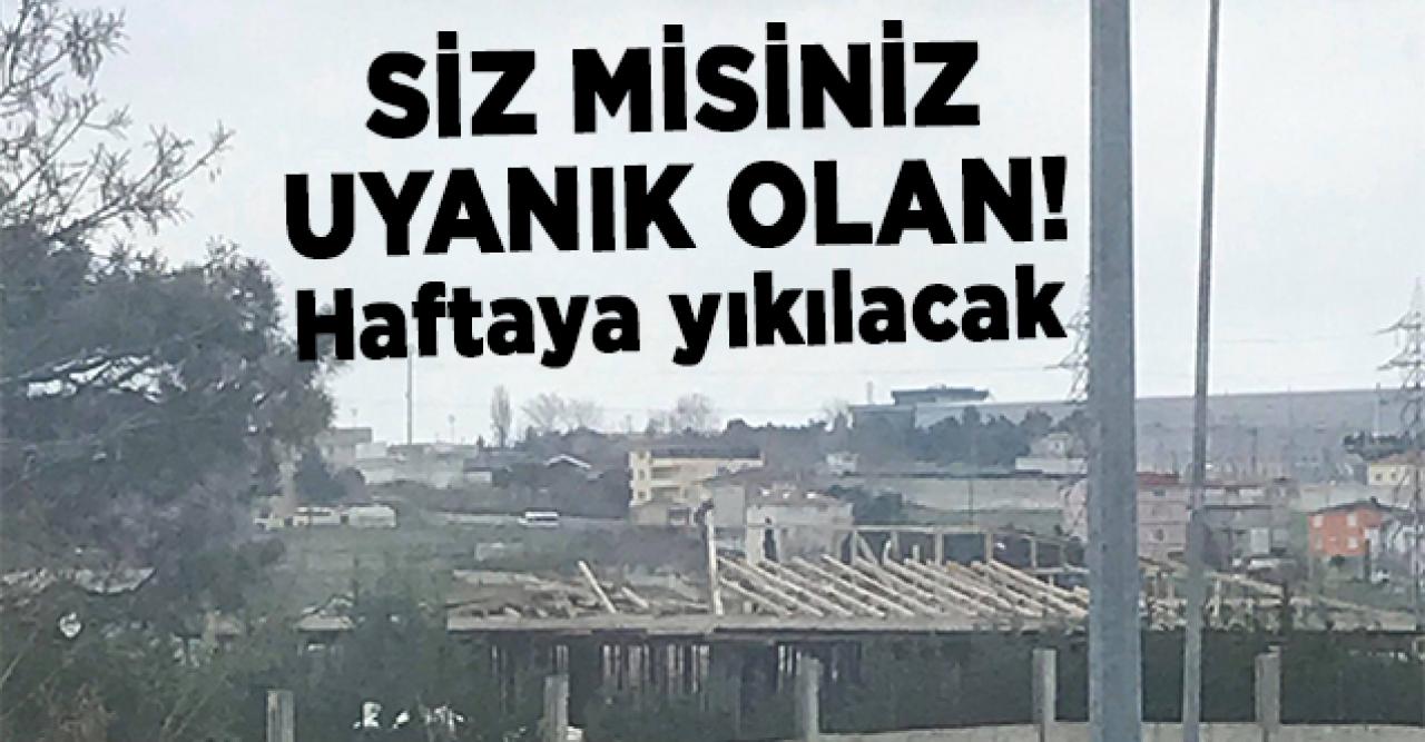 Siz misiniz uyanık olan!