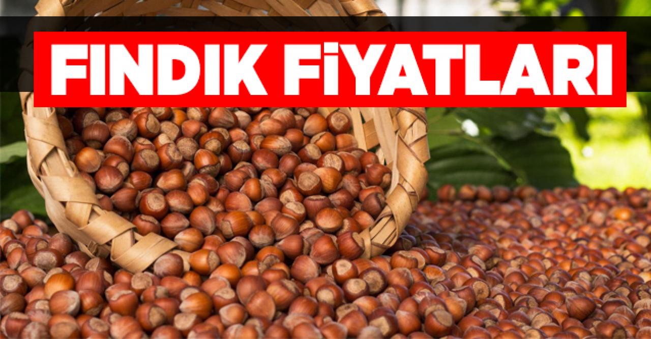 9 Nisan Perşembe fındık borsası | Fındık kaç lira? Fındık fiyatları