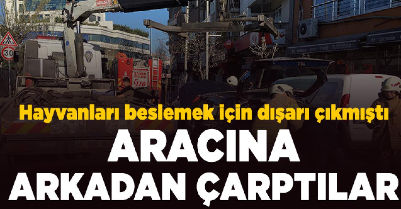 Hayvanları beslemek için sokağa çıkan Lale Akıncı'nın aracına çarptılar!