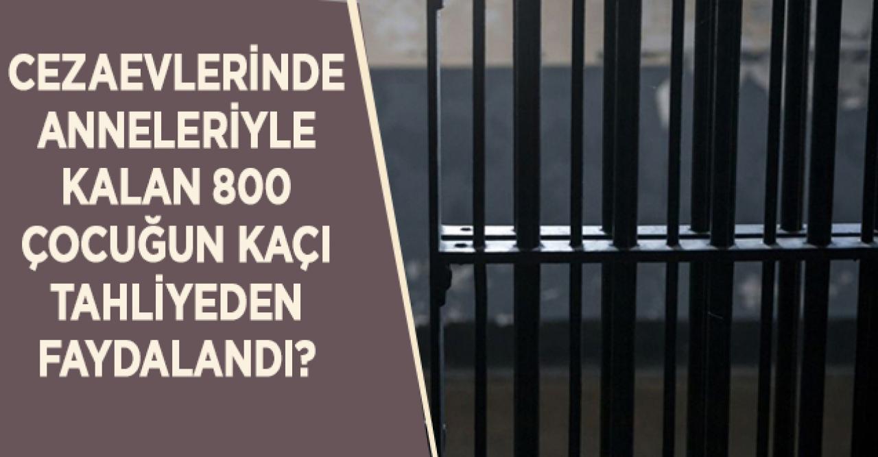 TOHAV Başkanı: Cezaevlerindeki 800 çocuğun kaçı çıktı bilinmiyor