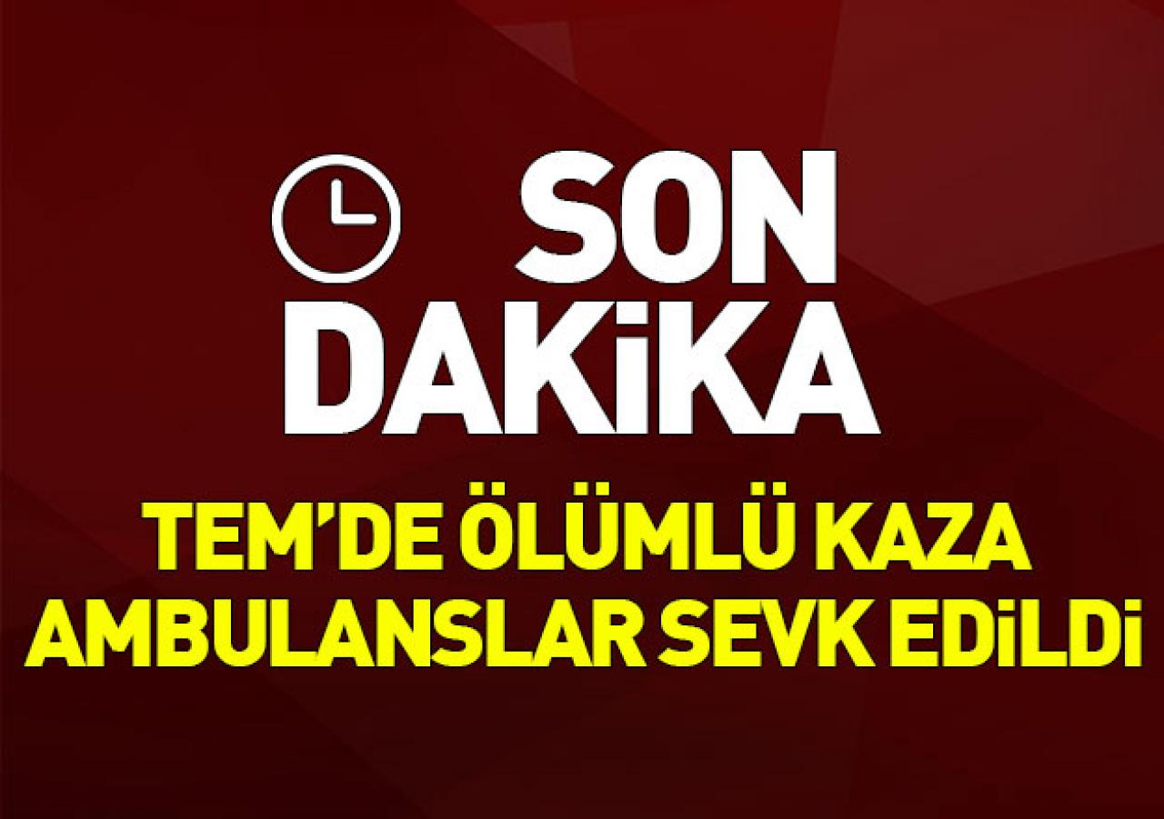 TEM'de ölümlü kaza