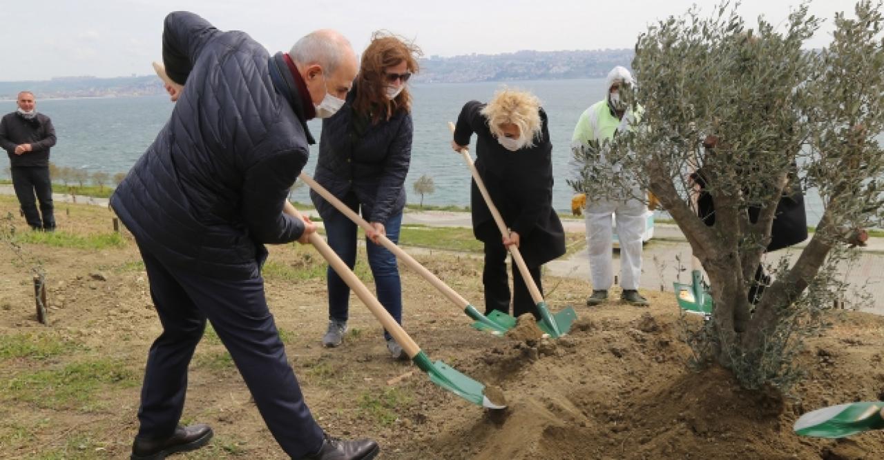 Büyüçekmece Belediyesi 100. yıl anısına 100 zeytin ağacı dikti