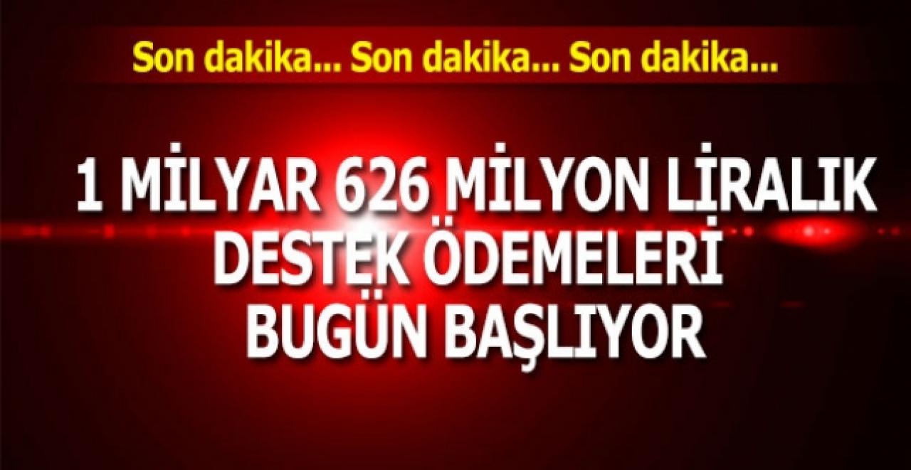 Pakdemirli açıkladı: 1 milyar 626 milyon liralık destek ödemeleri bugün başlıyor