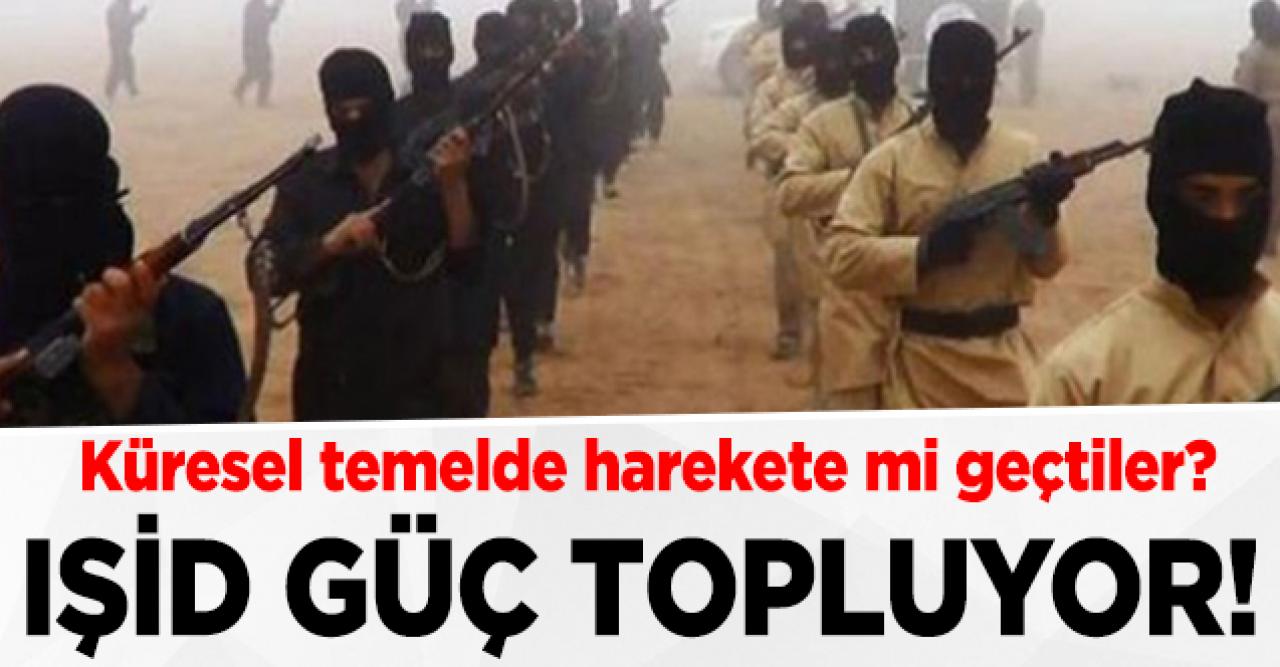 IŞİD güç topluyor!