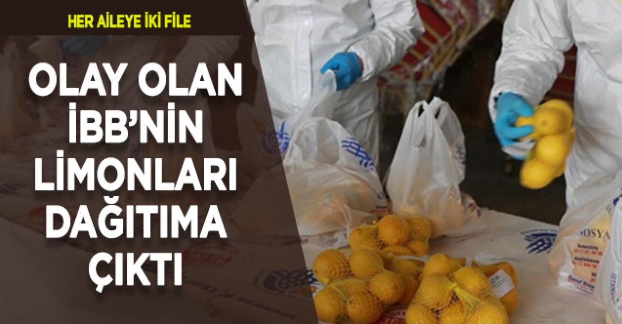 İBB'nin Mersinli çiftçiden aldığı limonlar dağıtıma çıktı