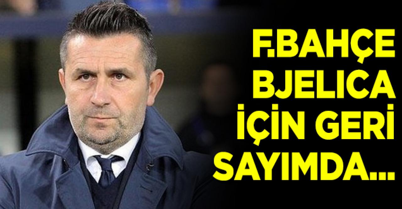 Fenerbahçe'de Bjelica için geri sayım! Taktiğini de belirledi