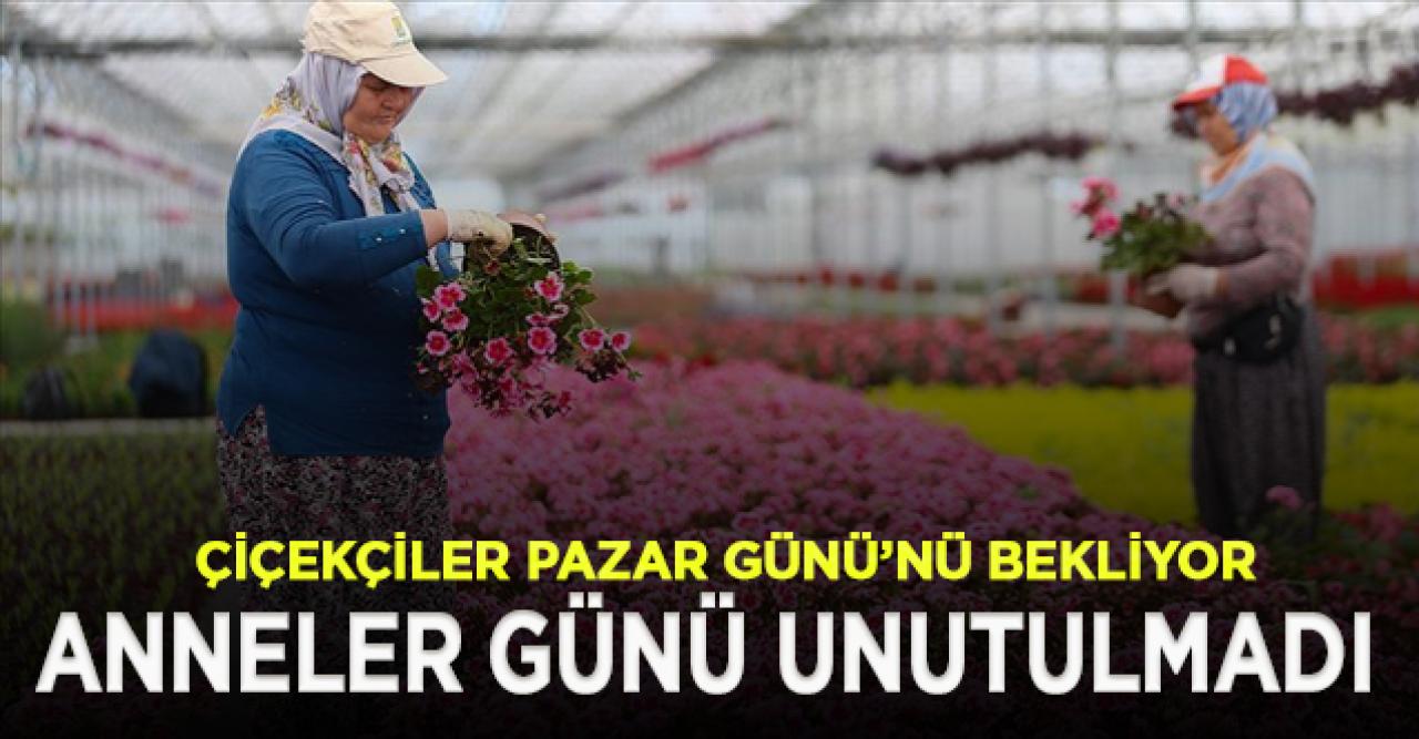 Çiçekçiler Anneler Günü'ne hazır