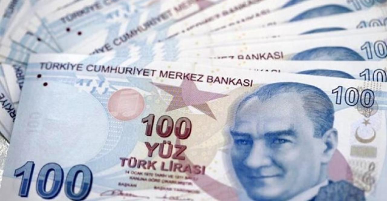 Yeni 100 liralar 20 Mayıs'ta tedavüle çıkıyor