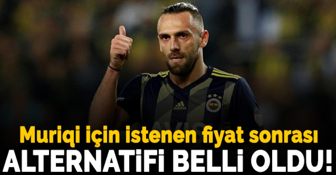 Fenerbahçe'nin yeni santraforu Mirko Maric!