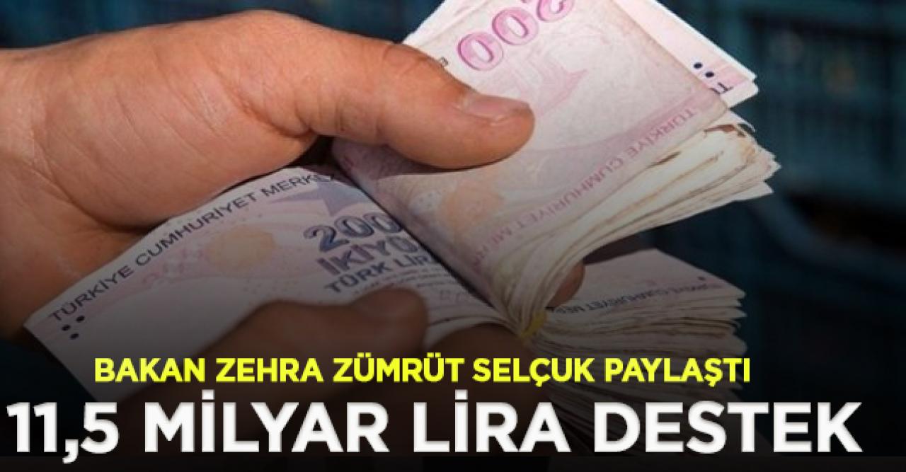 İhtiyaç sahiplerine 11,5 milyar lira destek sağlandı