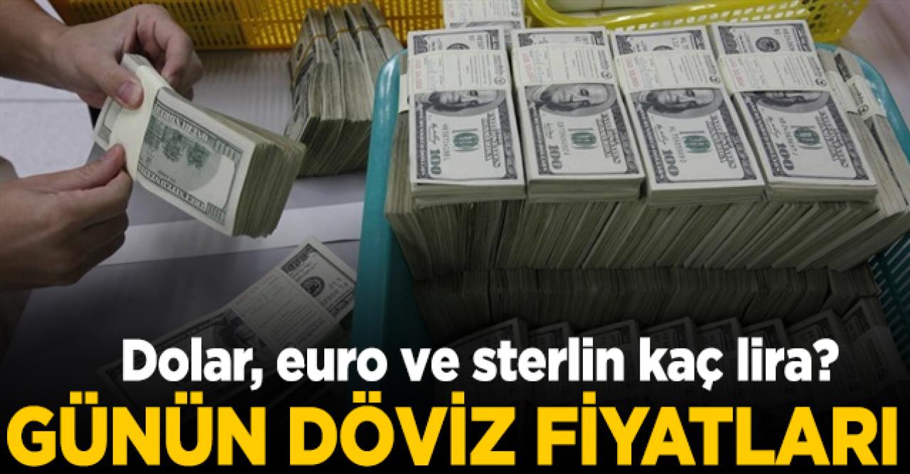 20 Mayıs Çarşamba dolar, euro ve sterlin kaç lira? Alış ve satış fiyatları...