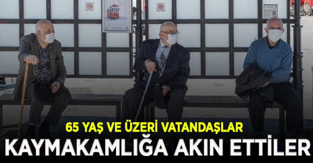 Seyahat izni çıkan 65 yaş ve üzeri vatandaşlar kaymakamlıklara akın etti