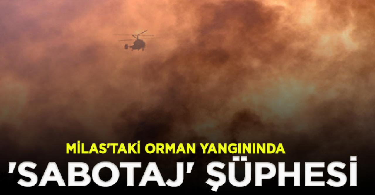 Milas'taki orman yangınında 'sabotaj' şüphesi