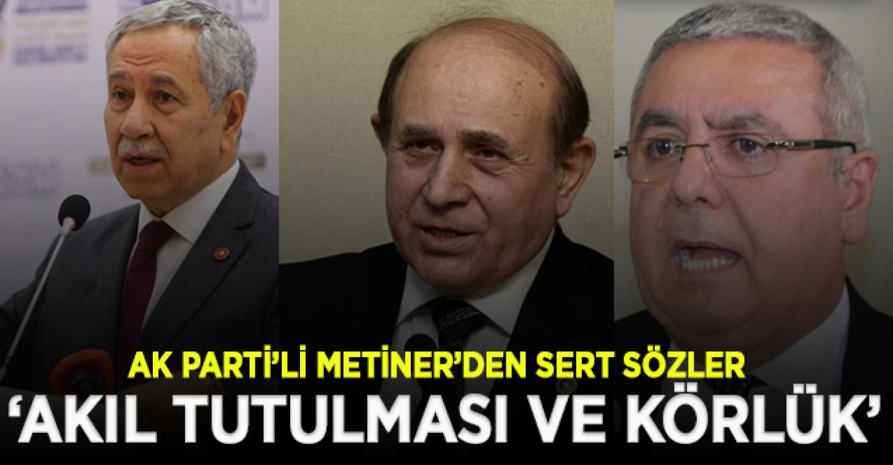 Ak Parti'li Metiner'den Kuzu ve Arınç'a tepki: Yandaşlıkta bizi geçtiler