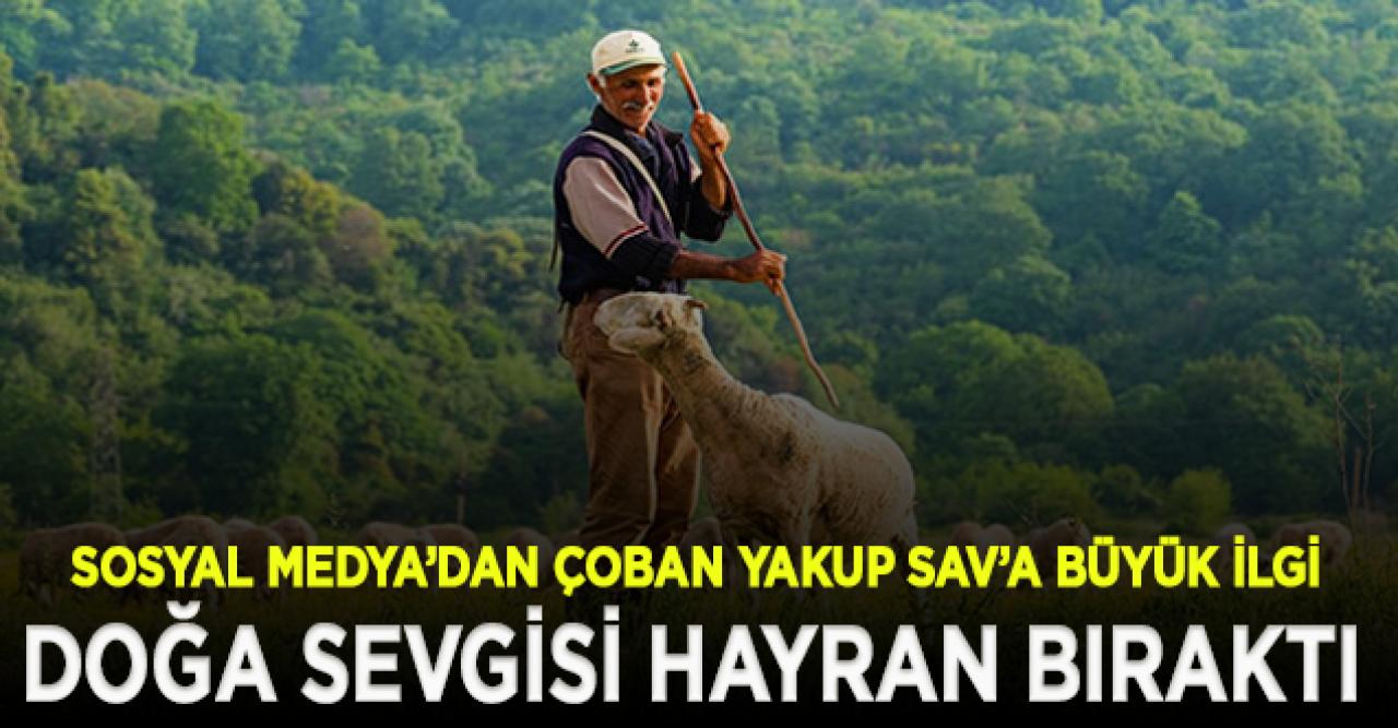 Çoban Yakup Sav'ın kendine has üslubu sosyal medyada ilgi gördü