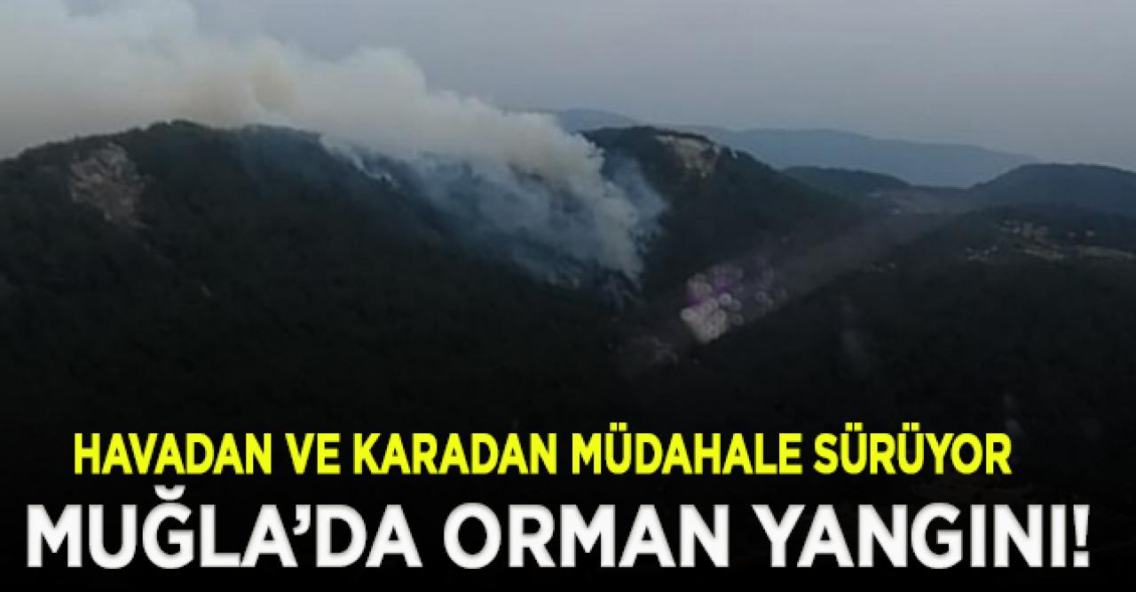 Muğla'da çıkan orman yangını büyüyor!