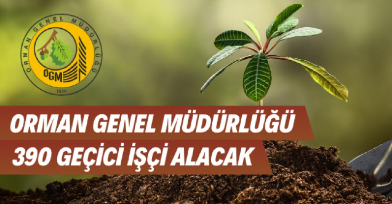 Orman Genel Müdürlüğü geçici işçi alımı yapacak