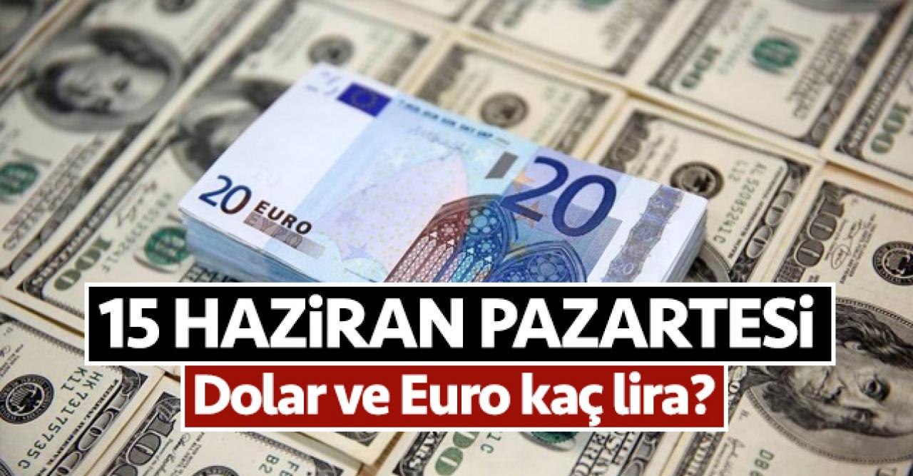 15 Haziran Pazartesi dolar ve euro kaç lira? Son dakika fiyatları...