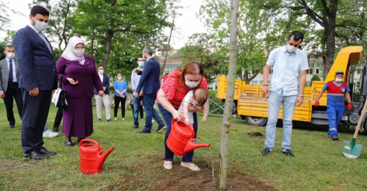 Bebekler için ağaç diktiler